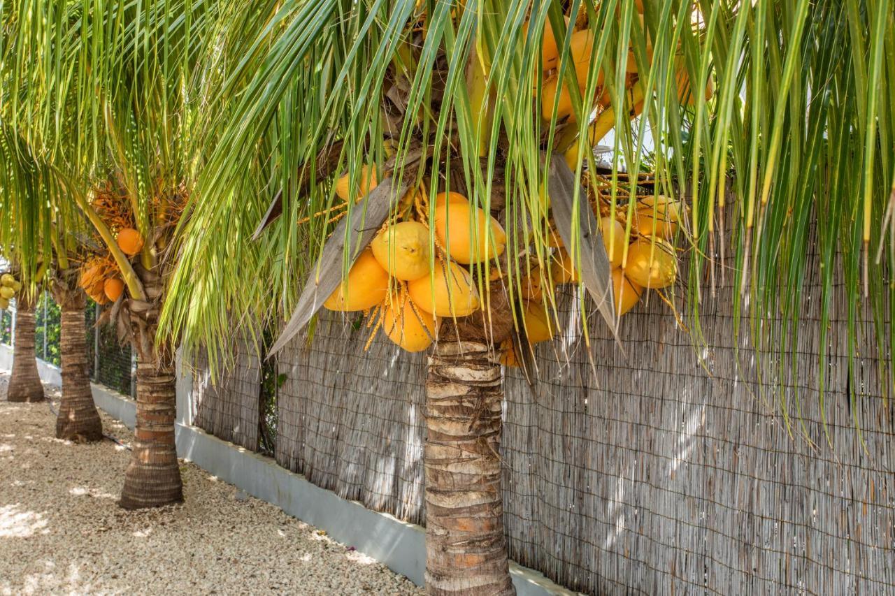 Paradise Apartments - Curacao Fontein Екстериор снимка