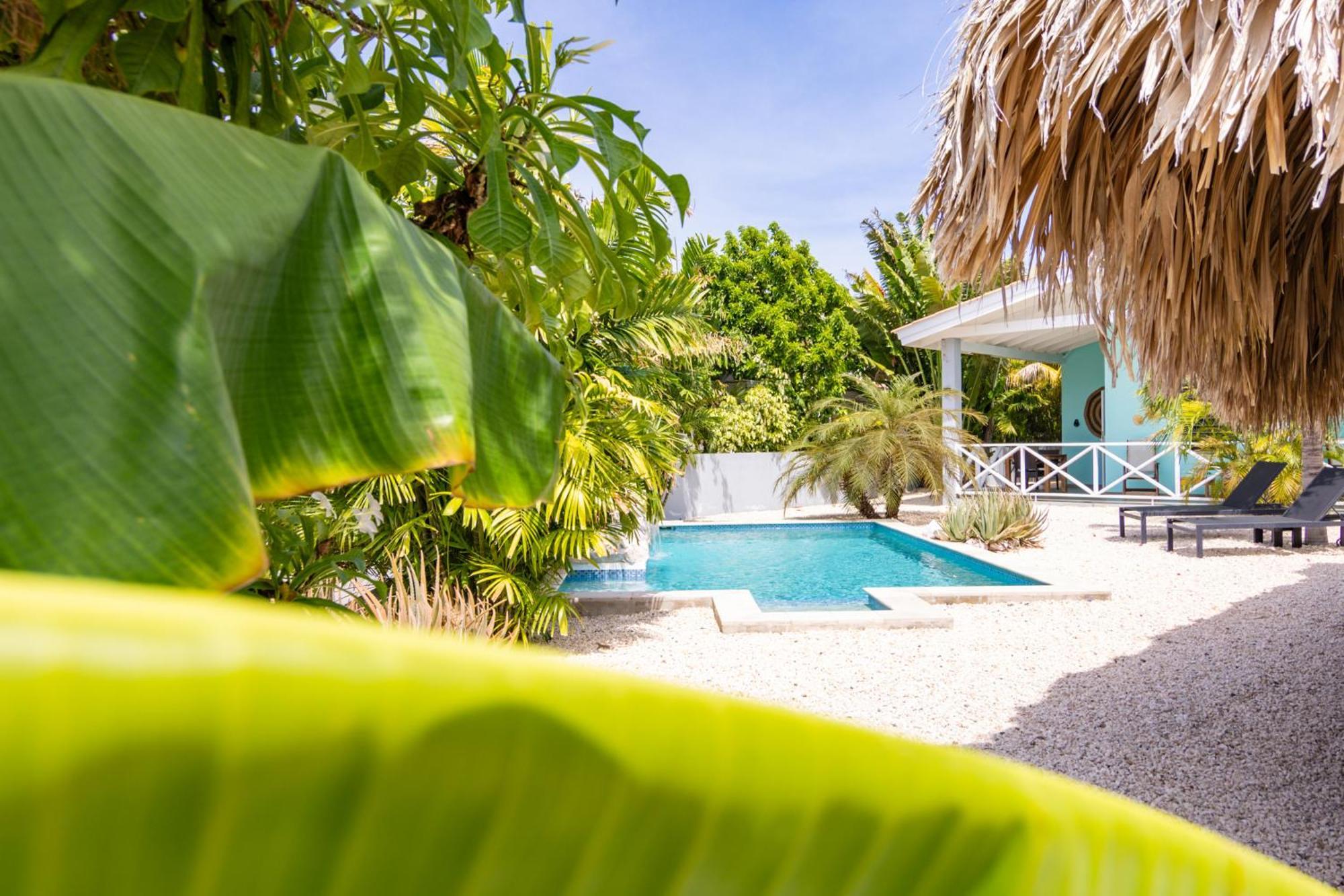 Paradise Apartments - Curacao Fontein Екстериор снимка